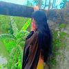 user9824994223988