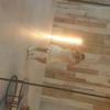user8241320201542