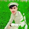 abubakkar.siddiq21