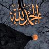 .qwer81