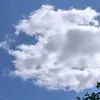 tjawillstduwissen
