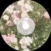sofia_wed5
