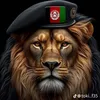 abdulrahman.jabar40