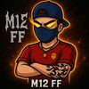 m12ffv3