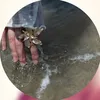 gllirai