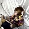 worldrecordqueef