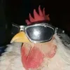 thirdylol7