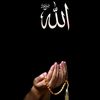 sk.sifat8035