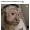 okayokay20256