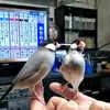 kimi49580
