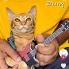 tomisu73