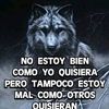 stevepapirrin05