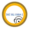 thebigfarmbr