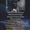 berkah.aulia01