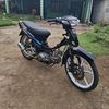 akurapax6