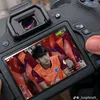 u_bank