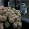 aswlmri_