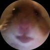lovexxx030