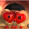 hm58338