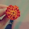 fatima.quraishi6