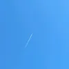 user2520631061808