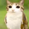 coolboi7777