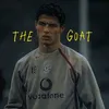 amar.alizerari