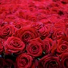 user1970171253605