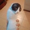 pemboy_forn_6969