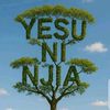user73616036845808
