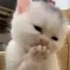 xixi__123