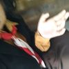 esterra_panjaitan_79