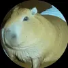 kyleromero56