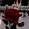umameer12_