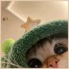 pp1nky.stawberry