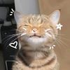 anggunna18