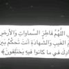 allahu.akbar0271
