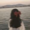 merna.noamon