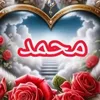 aboodsc0