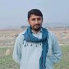 tanoli.g312