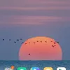 naji.il