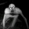 william.colwell2