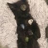 sleepymoph