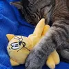fienschen.sammy