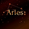 .aries9999