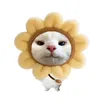 taohuutinhne