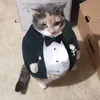 kevin_7928