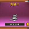 user60527991633143