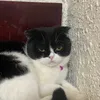 bunbunoiii