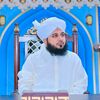 saam_hamii66